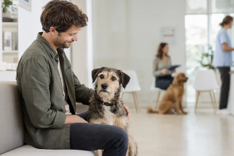 Ein Aidi Hund sitzt entspannt neben seinem Besitzer in einem modernen und freundlichen Wartezimmer einer Tierarztpraxis.